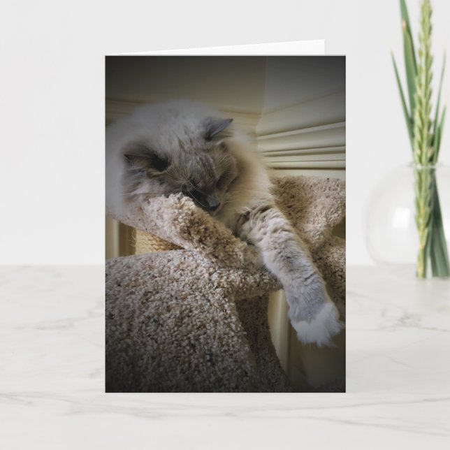 Dias Lentos, cartão (Frente)