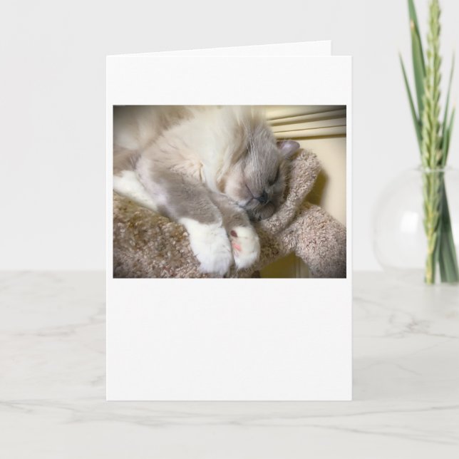 Dias Lentos, cartão (Frente)