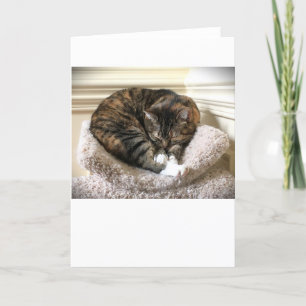 Dias Lentos, cartão