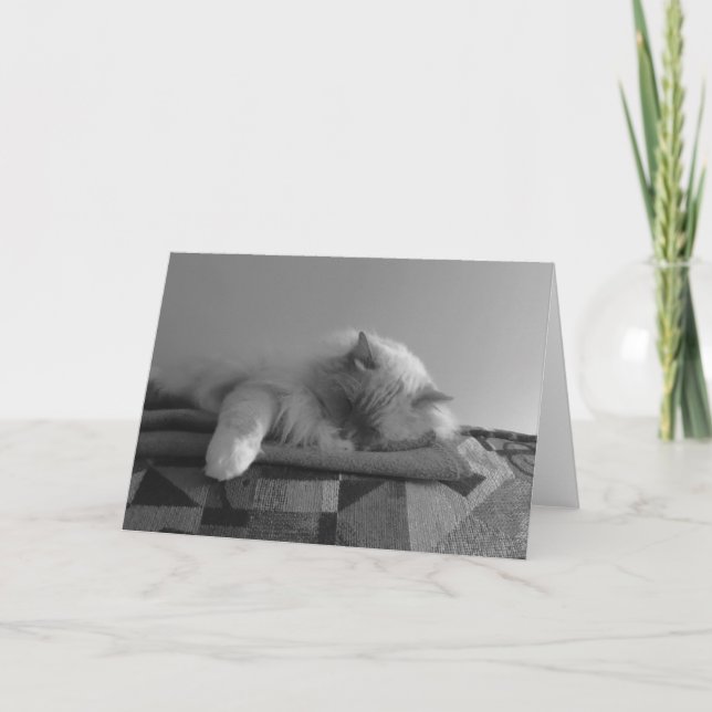 Dias Lentos, cartão (Frente)