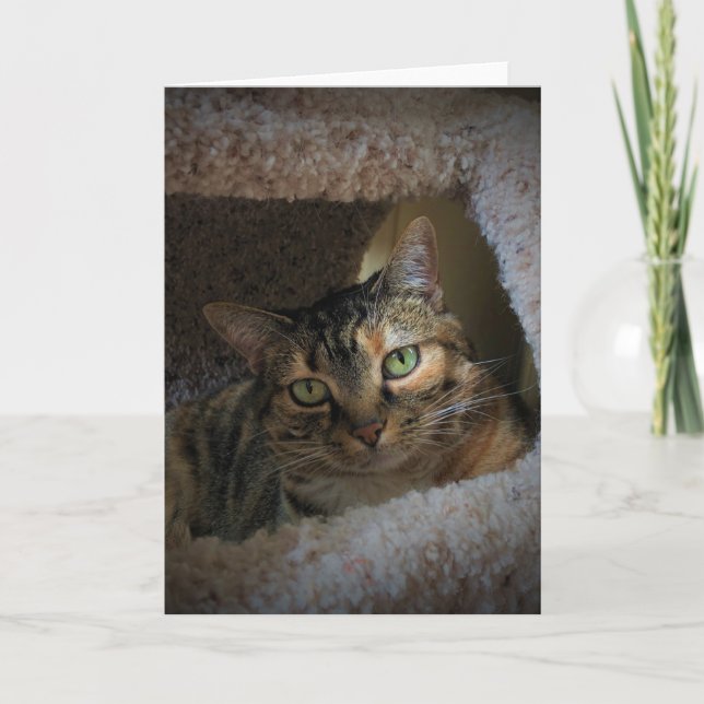 Dias Lentos, cartão (Frente)