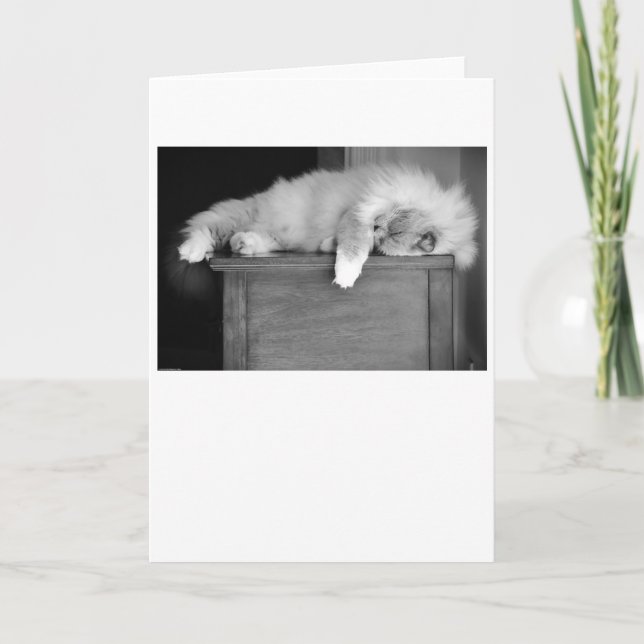 Dias Lentos, cartão (Frente)