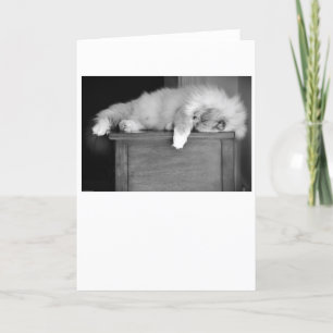 Dias Lentos, cartão