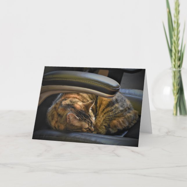 Dias Lentos, cartão (Frente)