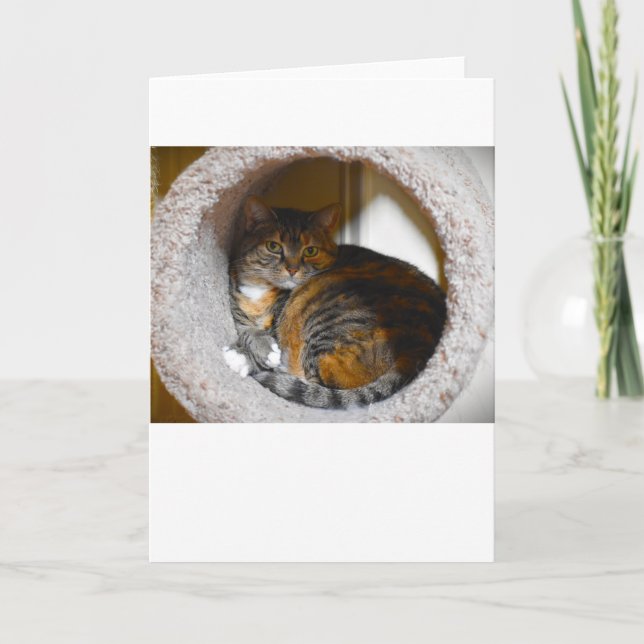 Dias Lentos, cartão (Frente)