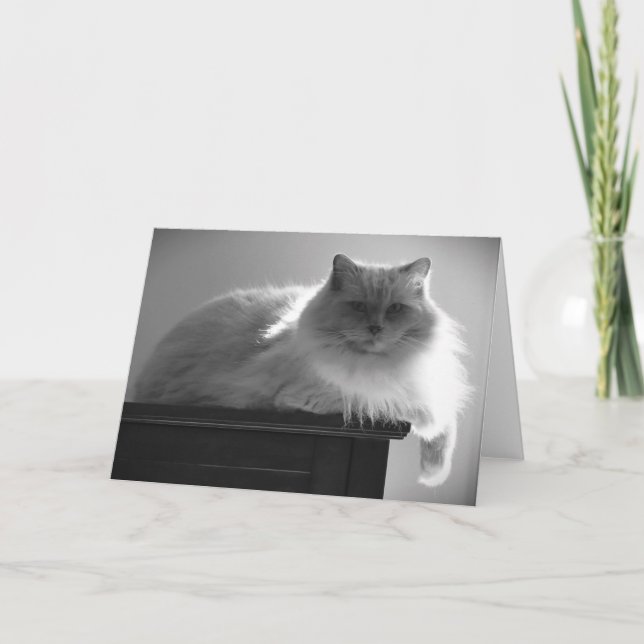 Dias Lentos, cartão (Frente)