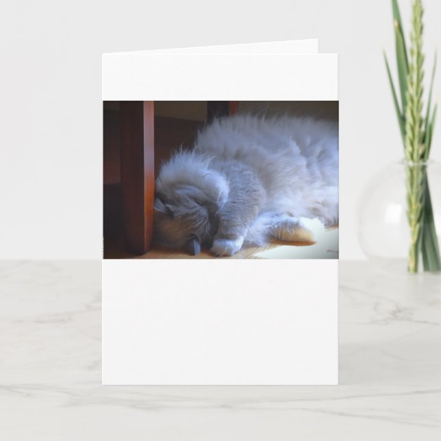 Dias Lentos, cartão (Frente)