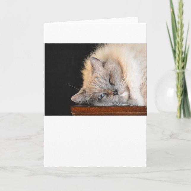 Dias Lentos, cartão (Frente)