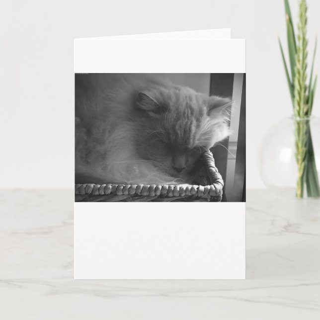 Dias Lentos, cartão (Frente)