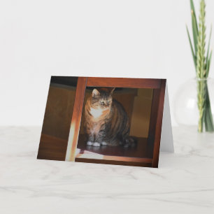 Dias Lentos, cartão