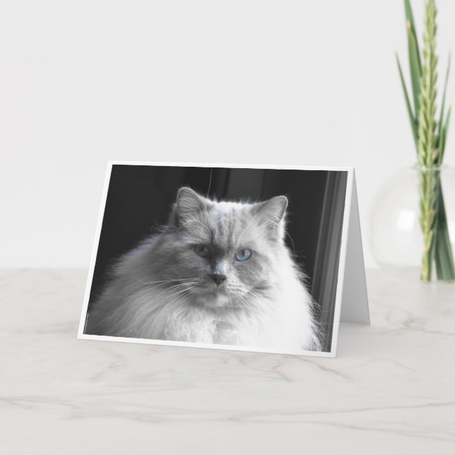 Dias Lentos, cartão (Frente)