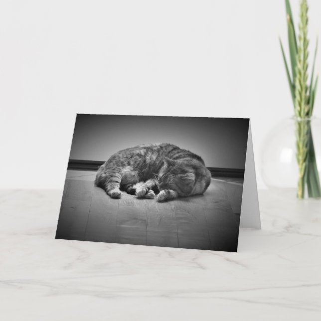 Dias Lentos, cartão (Frente)