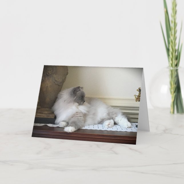 Dias Lentos, cartão (Frente)