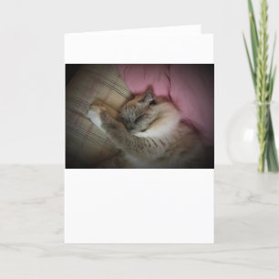 Dias Lentos, cartão