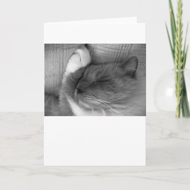 Dias Lentos, cartão (Frente)