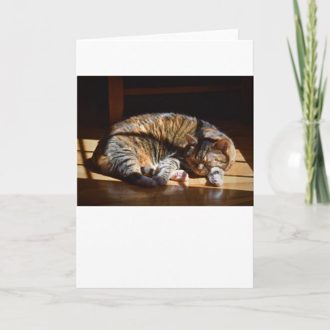 Dias Lentos, cartão (Frente)