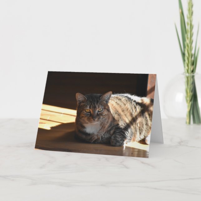 Dias Lentos, cartão (Frente)