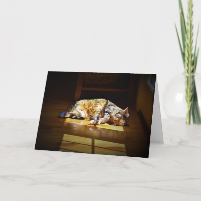 Dias Lentos, cartão (Frente)