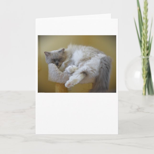 Dias Lentos, cartão (Frente)