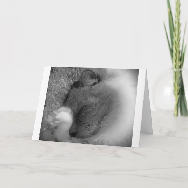 Dias Lentos, cartão (Frente)