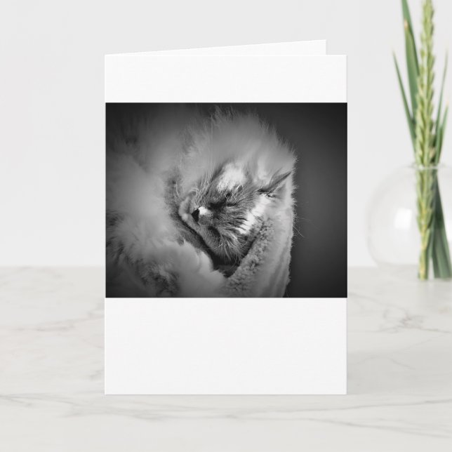 Dias Lentos, cartão (Frente)