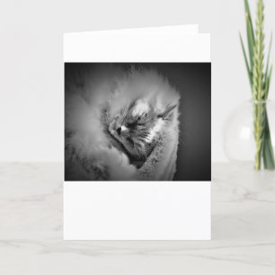 Dias Lentos, cartão