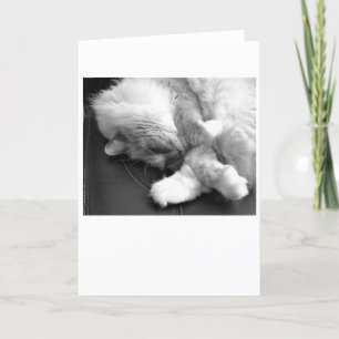 Dias Lentos, cartão