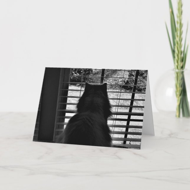 Dias Lentos, cartão (Frente)