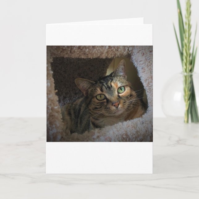 Dias Lentos, cartão (Frente)