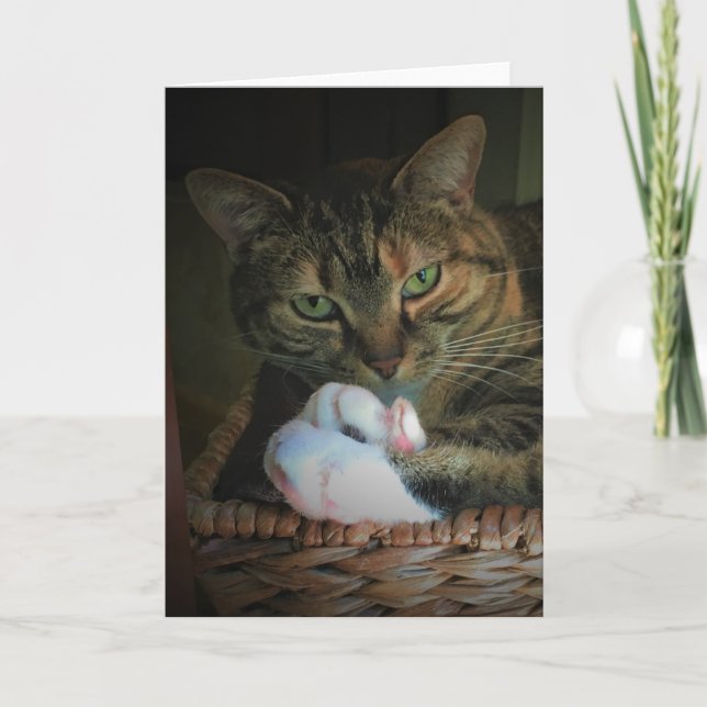 Dias Lentos, cartão (Frente)