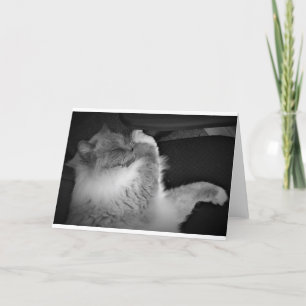 Dias Lentos, cartão