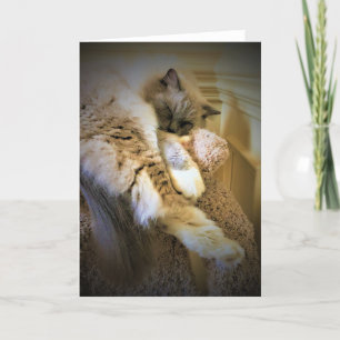 Dias Lentos, cartão