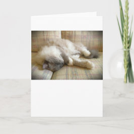 Dias Lentos, cartão