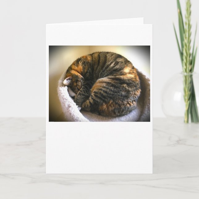 Dias Lentos, cartão (Frente)