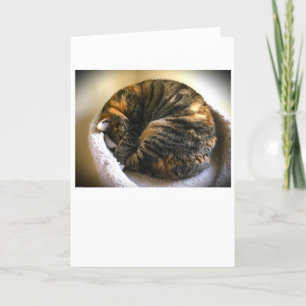 Dias Lentos, cartão