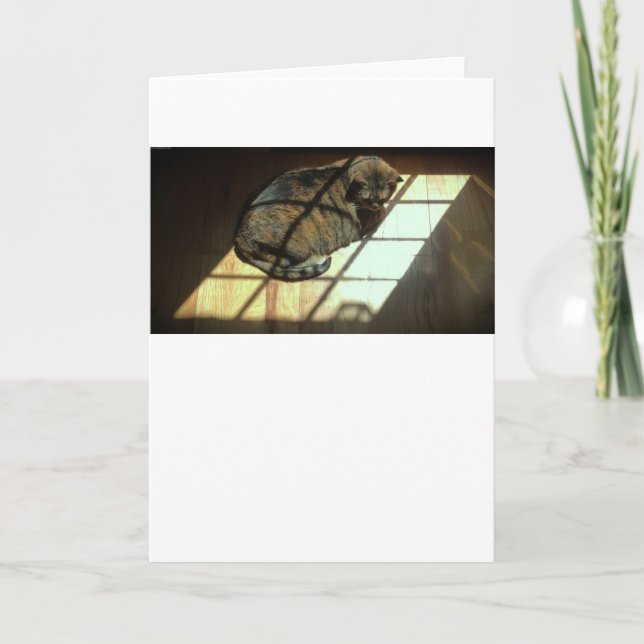 Dias Lentos, cartão (Frente)