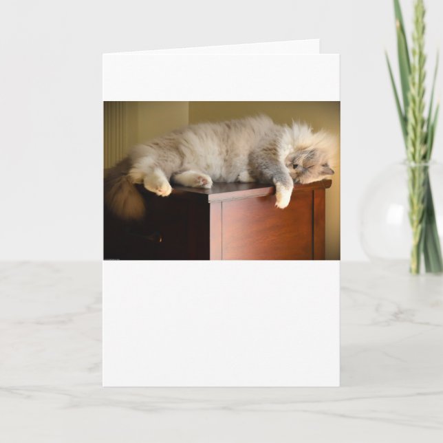 Dias Lentos, cartão (Frente)