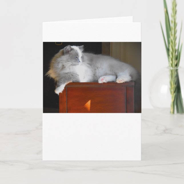 Dias Lentos, cartão (Frente)