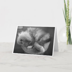 Dias Lentos, cartão