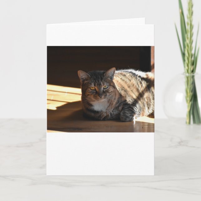 Dias Lentos, cartão (Frente)