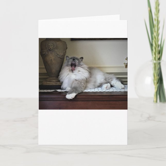 Dias Lentos, cartão (Frente)