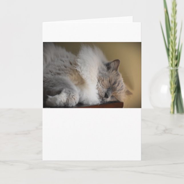 Dias Lentos, cartão (Frente)