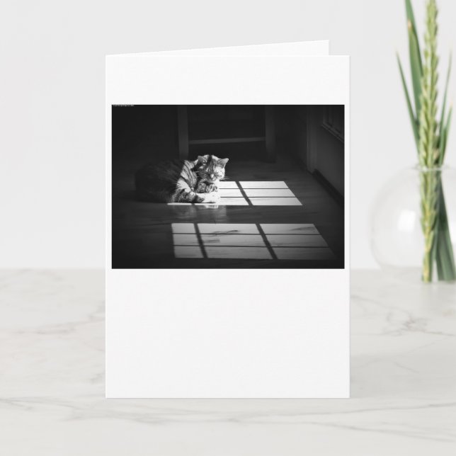 Dias Lentos, cartão (Frente)