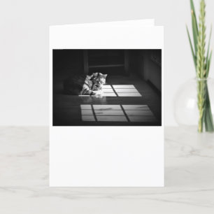 Dias Lentos, cartão