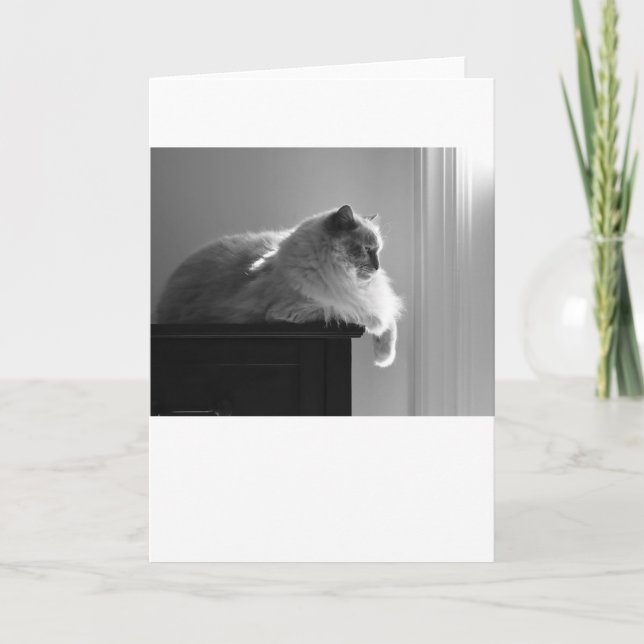 Dias Lentos, cartão (Frente)