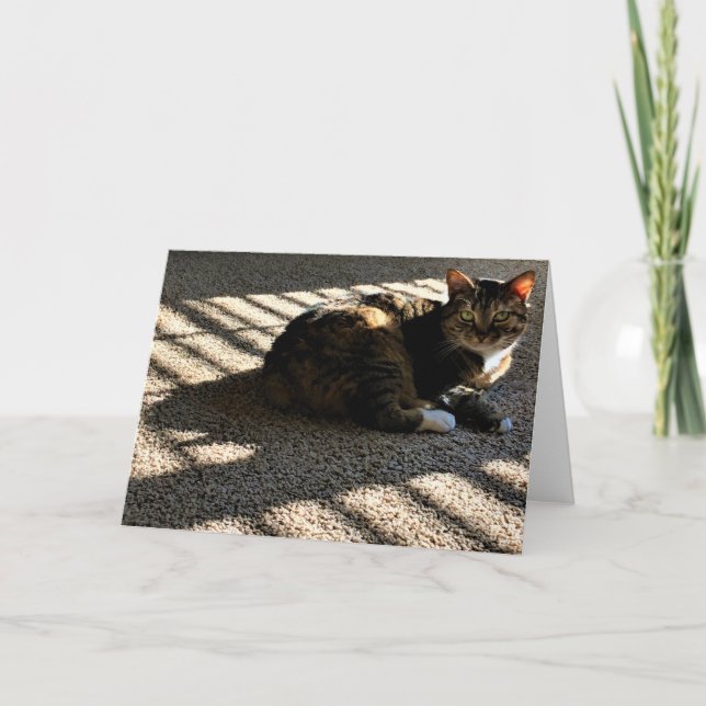 Dias Lentos, cartão (Frente)