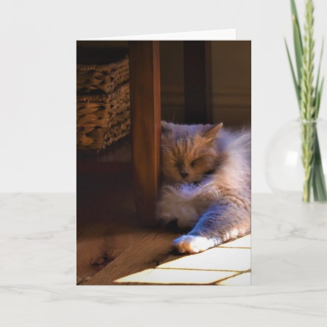 Dias Lentos, cartão (Frente)