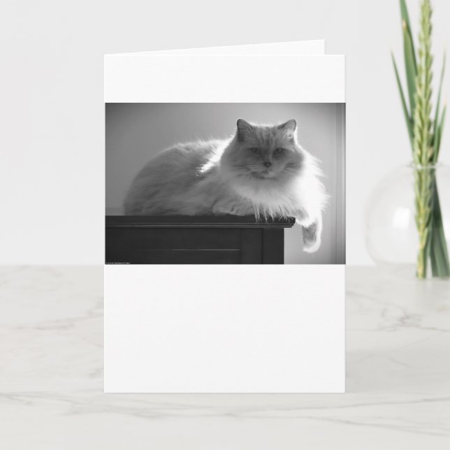 Dias Lentos, cartão (Frente)