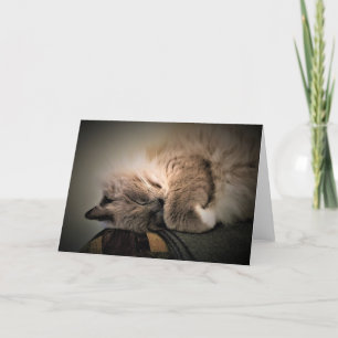 Dias Lentos, cartão