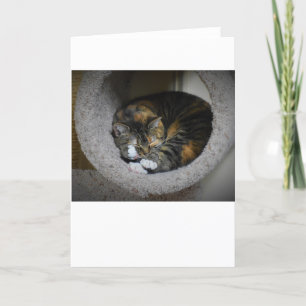 Dias Lentos, cartão